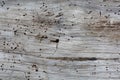 Monochrome wood background and texture