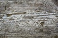 Monochrome wood background and texture