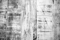 Monochrome wood texture