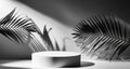 Monochroome Podium product display stand with nature leaves . 3D rendering