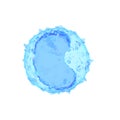 A monocyte