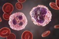 Monocyte and neutrophil surrounded by red blood cells Royalty Free Stock Photo