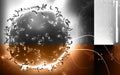 Monocyte Virus Royalty Free Stock Photo