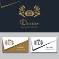 Monogram design elements, graceful template. Calligraphic elegant line art logo design. Letter emblem sign B, L for Royalty, busin