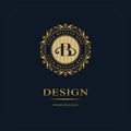 Monogram design elements, graceful template. Calligraphic elegant line art logo design. Letter emblem sign B for Royalty, business