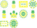 Monogram frames pineapple set vector. Fruit monogram Royalty Free Stock Photo