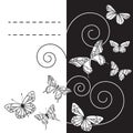 Monohrome background with butterflies. Vector illustration/EPS 8