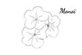 Monoi vanila Flower drawing Royalty Free Stock Photo