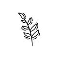 Monoline autumn leaves of tree logo. Outline emblem in linear style. Vector abstract icon for design of natural products, flower Royalty Free Stock Photo