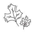 Monoline leaves of tree logo autumn. Outline emblem in linear style. Vector abstract icon for design of natural products Royalty Free Stock Photo
