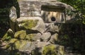 Dolmen in the forest. Mysterious dolmen