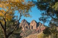 Monoliths, Zion National Park in Autumn