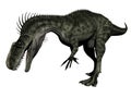 Monolophosaurus dinosaur - 3d render Royalty Free Stock Photo