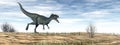 Monolophosaurus dinosaur in the desert - 3D render Royalty Free Stock Photo