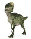 Monolophosaurus in search walk Royalty Free Stock Photo