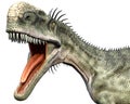 Monolophosaurus side close head Royalty Free Stock Photo