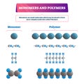 Monomer or polymer vector illustration. Labeled chemical educational scheme