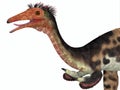 Mononykus Dinosaur Head