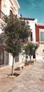 Monopoli Italy - September 22 2019: Piazza Giuseppe Garibaldi with trees in blossom and traditional houses.