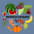 Monosaccharide healthy nutrient rich food vector illustration Royalty Free Stock Photo