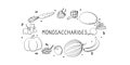 Monosaccharides-containing food. Groups of healthy products containing vitamins and minerals. Set of fruits, vegetables