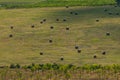 Monoszlo country side aerial view. Hungarian summer rural landscape