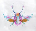 Monotype vivid colorful beetle Royalty Free Stock Photo