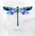 Monotype vivid dragonfly