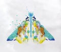 Monotype vivid moth