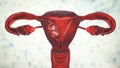 Twin fetuses inside female uterus, 3D illustration Royalty Free Stock Photo
