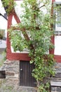 Monreal, Germany - 10 13 2020: Tiny wooden door at the bottom of a half timbered house Royalty Free Stock Photo