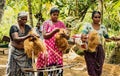Women spin coconut hair by hand, turning it into a strong rope