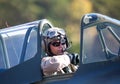 A pilot sitting in the cockpit of a P-40 Warhawk aircraft