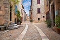 Mons, Var, Provence, France: cityscape of the ancient village Royalty Free Stock Photo