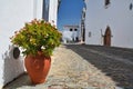 Monsaraz town street in Portugal, plant in pot Royalty Free Stock Photo