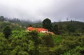 monsoon clouds over lush green palani hills in rainy season, mountain village near kodaikanal hill station Royalty Free Stock Photo