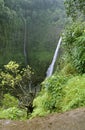 Monsoon season Royalty Free Stock Photo