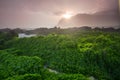 Salalah Khareef monsoon season Royalty Free Stock Photo