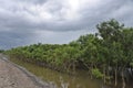 Monsoon Season In India Royalty Free Stock Photo