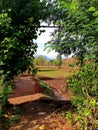 Monsoon season in India nature