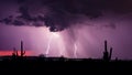 Monsoon storm with lightning in the Arizona desert Royalty Free Stock Photo