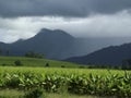 Monsoon storm