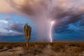 Monsoon thunderstorm lightning strike in the Arizona desert