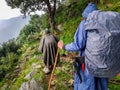 Monsoon trekkers with walking sticks and raincoats explore the Himalayan hills of Uttarakhand, India. Rainy adventure awaits Royalty Free Stock Photo