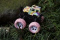 Monster car toys standing on stone and grass