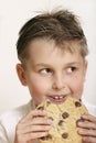 Monster cookie Royalty Free Stock Photo