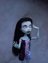 Monster high dolls custom scara Royalty Free Stock Photo