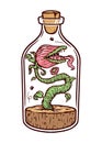 Monster plant in a bottle illustration