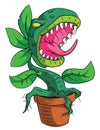 Monster Plant