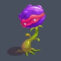 Monster predator plant illustration. Vector fantasy scary flower icon.